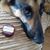 Debbi Doty's profile image