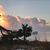 Cynthia Bishop Duke's profile image