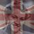 Jayne Willcocks's profile image