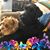 Kathy Evans's profile image