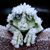 Tiz Smith's profile image