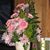 Joy Giacobbe's profile image