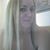 Julee Burns's profile image