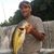Joe Hankins's profile image