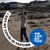 Kim McEathron-Foley's profile image
