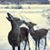 Pamela Millard Perkins's profile image
