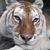 Geri Shea Melberg's profile image