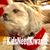 Curt Rossknecht's profile image
