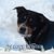 Sue Pezak's profile image
