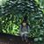 Duyen Eden Pham's profile image
