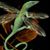 Deb Shafts's profile image