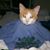 Emily Jacob-Zysman's profile image