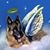 Garcia Dannys Garcia's profile image