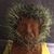 Shirley U Jest's profile image