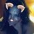 Nancy Heflin's profile image