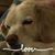 Jennifer Kyle Sweigard's profile image