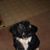 Rayanne Pike's profile image