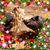 Tara M Johanek's profile image