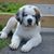 Autumn Secor's profile image