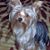 Nina Jordan-Smith's profile image