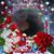 Jaydean Lippert's profile image
