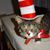 Diane Burszan's profile image