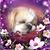 Joy Delsignore's profile image