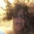 Tammy Ambrose's profile image