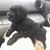 Carol Tong Lingenfelter's profile image