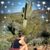 Shelli Arriaga Overmyer's profile image