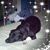 Laurie Herrington's profile image