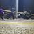 Darryn S Shipton's profile image