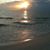 Maricela Haddad-Castro's profile image