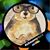 Debi B'Afra's profile image