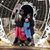 Sarah Wachter's profile image