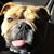 Rick Zaccardi's profile image