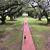 Tammi Smith's profile image
