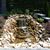AAA Landscaping & Grounds, Inc.'s profile image