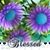 LaQuitta Haston Countryman's profile image