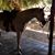 Kimberly Spangler's profile image