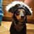 Christine Quinn's profile image
