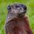 John McNeely Hudson's profile image