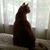 Cheryl Reed's profile image