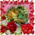 Opal Sweat's profile image