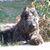 Susan Marks's profile image