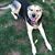 Jennifer Kelley Coykendall's profile image