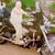Susan Varner's profile image