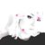Leslie Notarianni's profile image