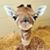 Sharon Cavanah's profile image