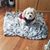 Donna Digiantonio Keller's profile image